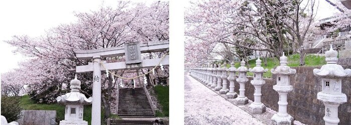 白山神社