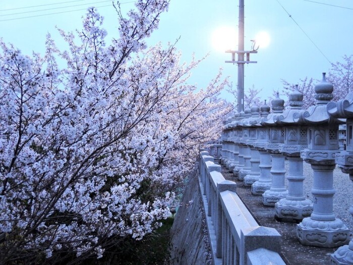 白山神社2