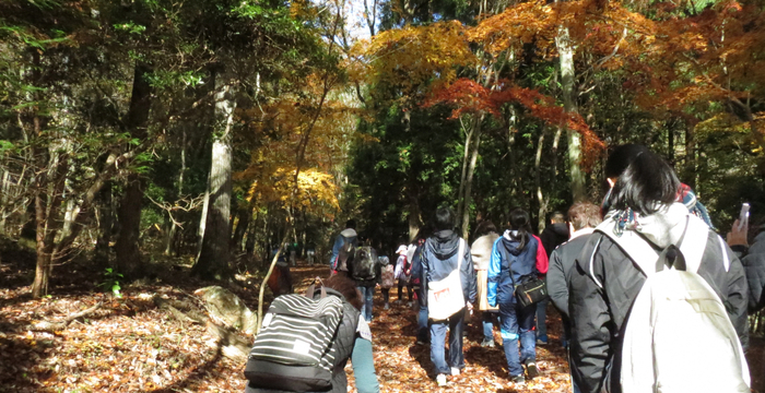 小蓑路ウォーキング大会