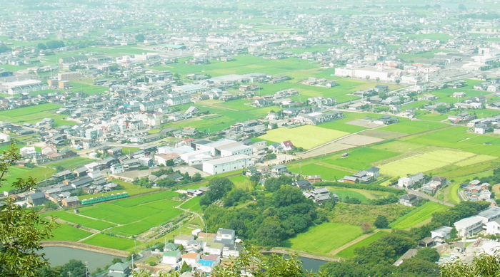 讃岐平野を一望