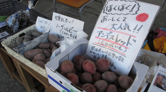 スーパーなどではあまり見かけない珍しい野菜