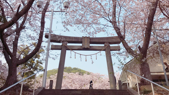 白山神社鳥居