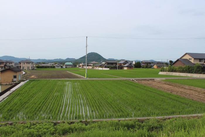 のどかな田園地帯