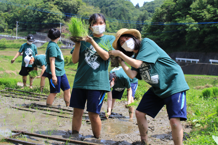 三木高生が田植え体験