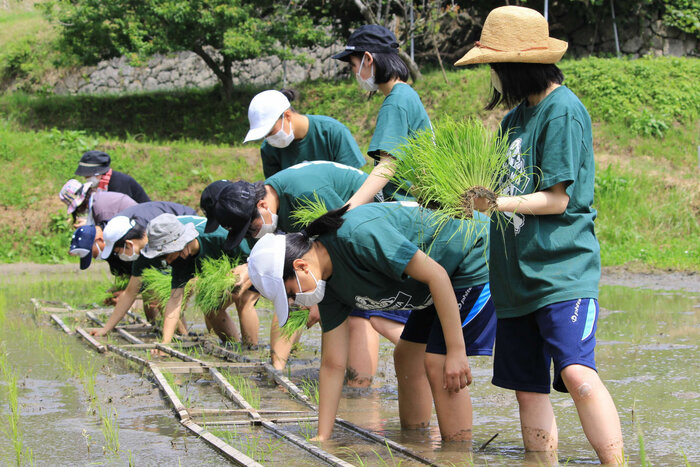 小蓑レポート第一弾　～田植え編～