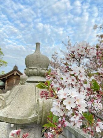 白山神社