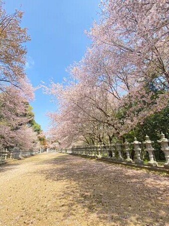 池戸神社