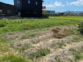 田