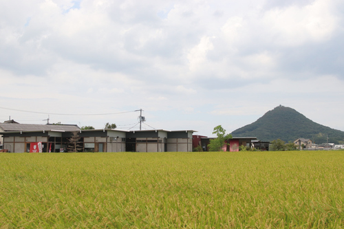 写真2