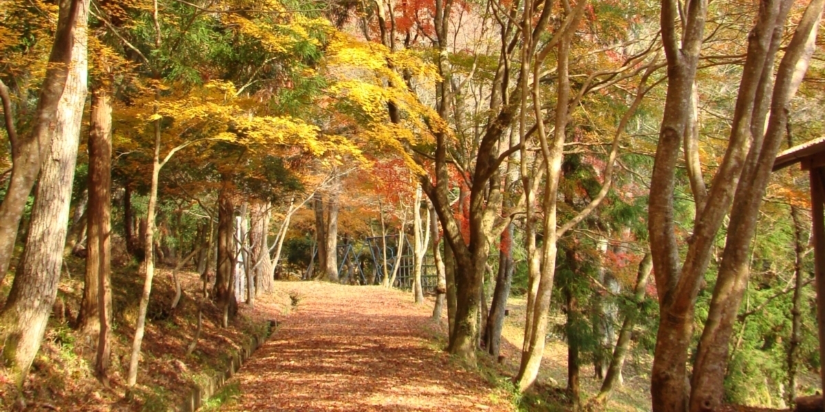 虹の滝　遊歩道